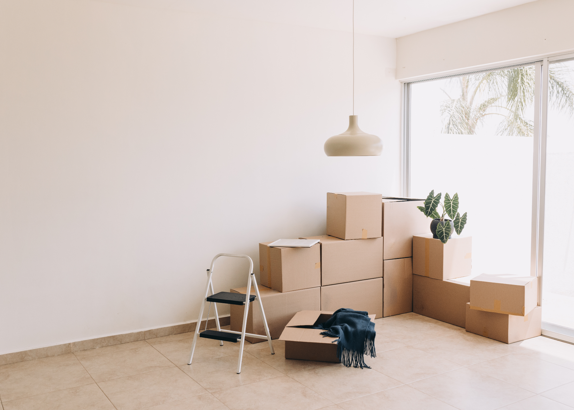 Move-In / Move-Out Clean